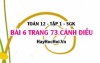 Bài 8 trang 73 Toán 12 tập 1 Cánh Diều